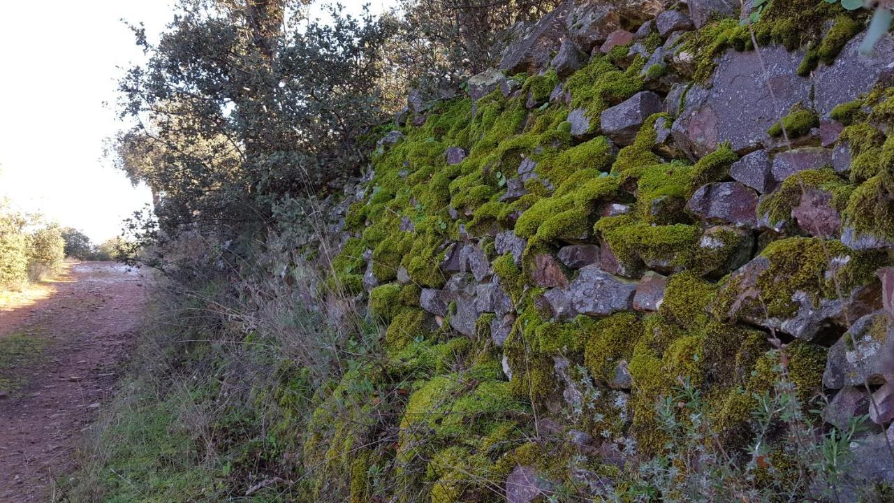 Casa Rural El Arco La Estrella  Buitenkant foto
